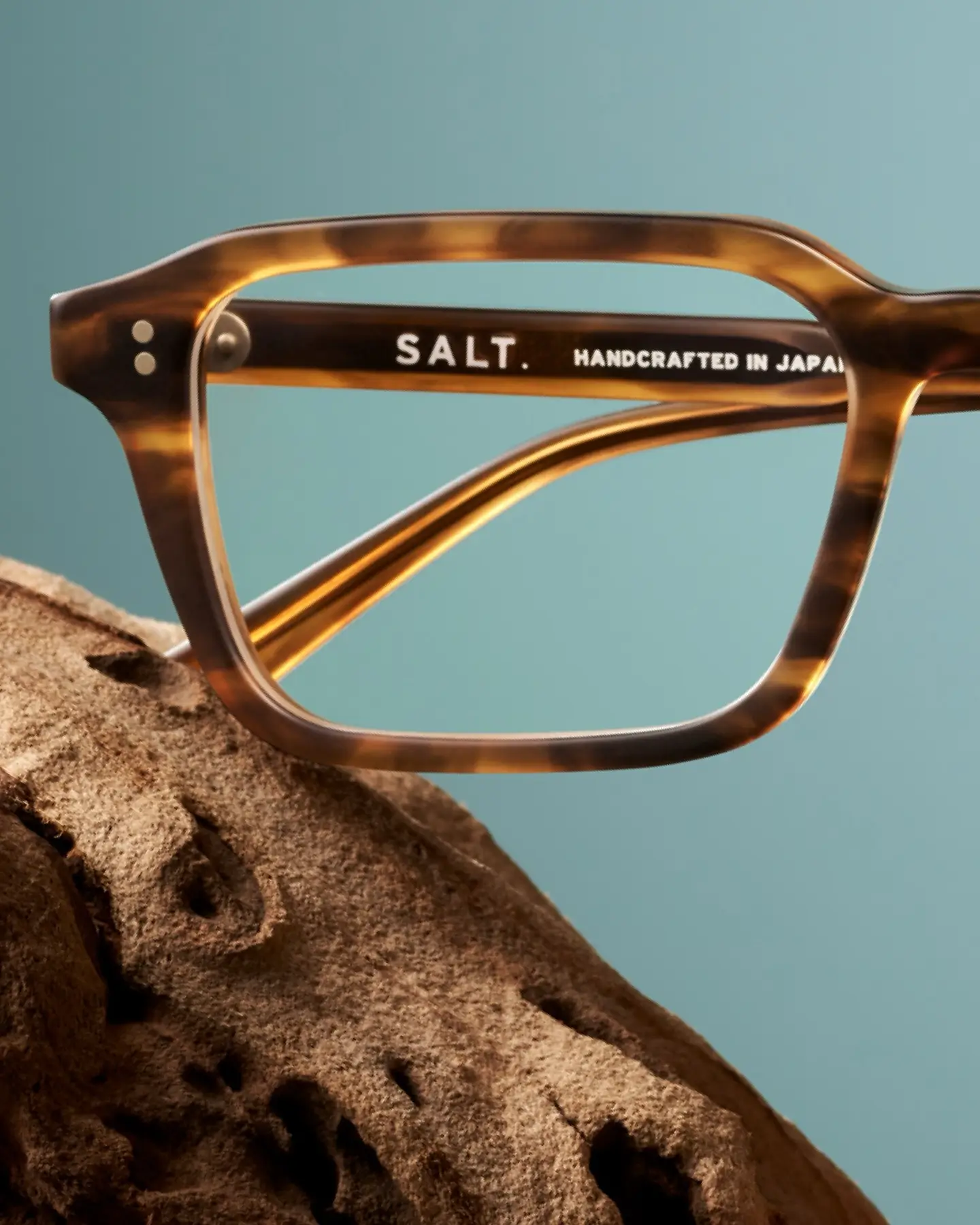 SALT_ (3)